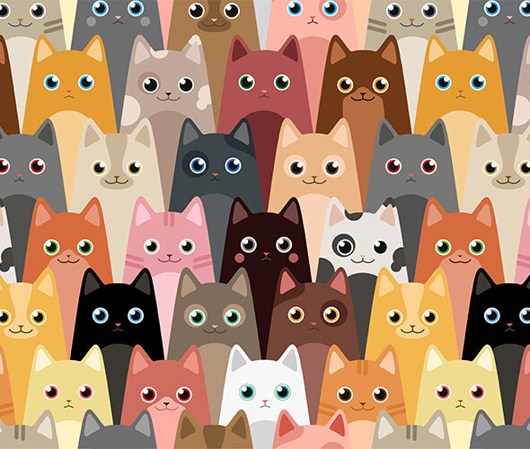 Wie man mit Facebook Canvas die perfekte Katzen-Microsite gestaltet