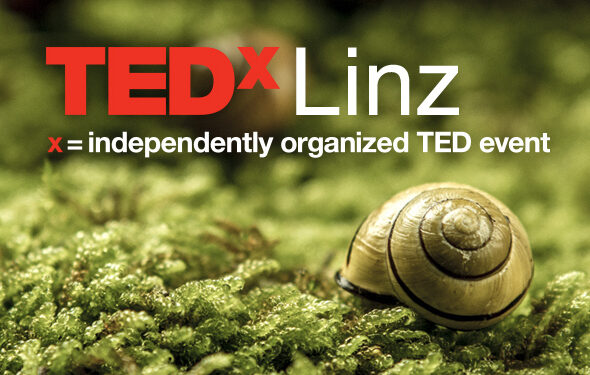 TEDx Linz: Grafik- und Videounterstützung von Pulpmedia
